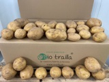 Caja patatas